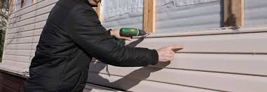 Best Siding Repair  in Buckingham, FL